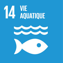 vie aquatique